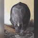 Artist’s depiction of Lisowiciz bojani.